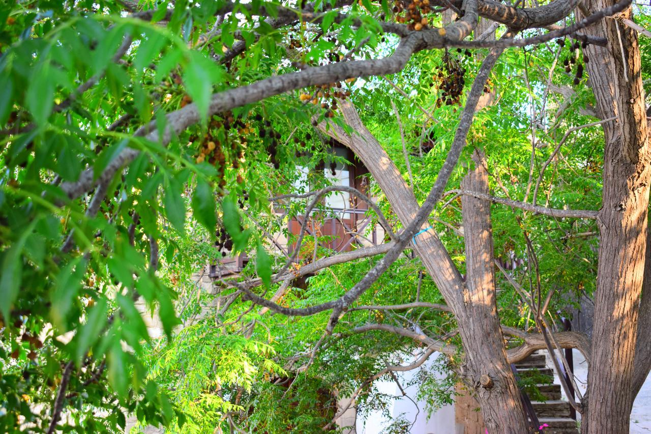 Vasilopoulos House Tochni Bagian luar foto